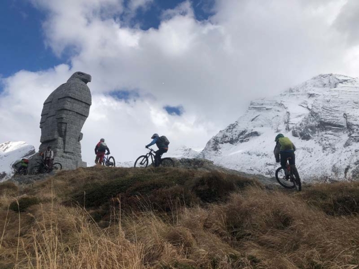 Swiss_cyclin_guide20201017